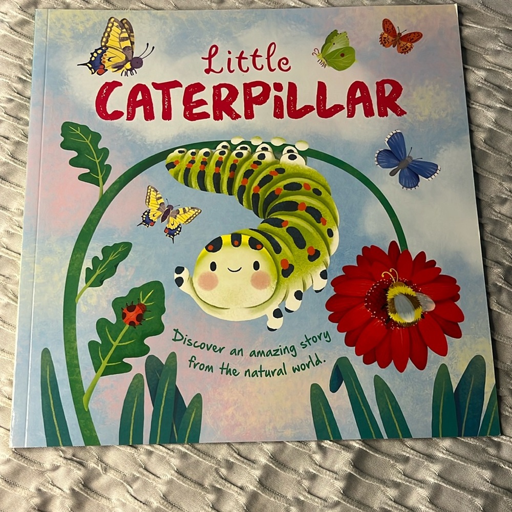 Little caterpillar
